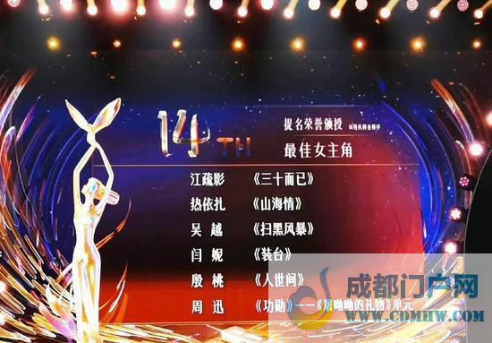 马丽获第31届中国电视金鹰奖最佳女配角奖